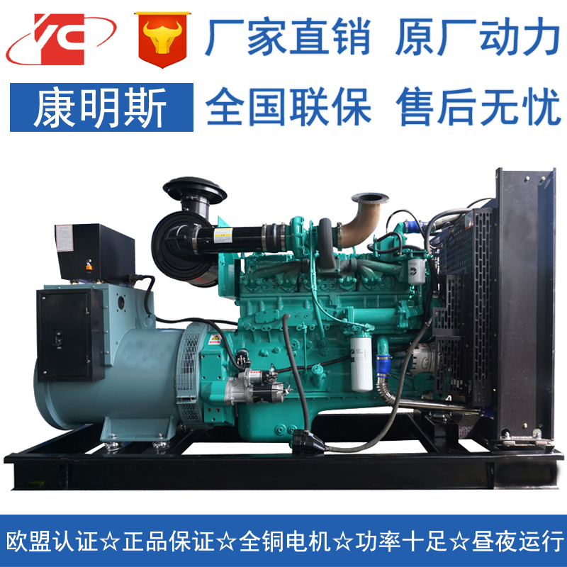黄南200KW柴油发电机组康明斯NT855-GA