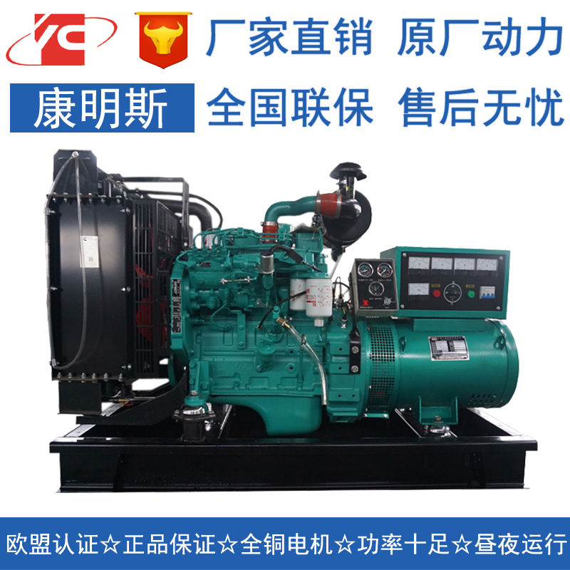 上海20KW柴油发电机组东风康明斯4B3.9-G1