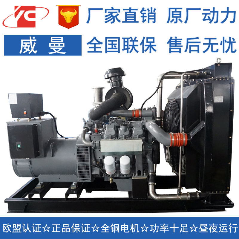 上海250KW威曼D11A1发电机价格
