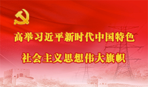 高举习近平新时代中国特色社会主义思想伟大旗帜